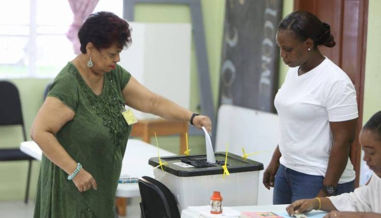 Gov’t approves foreign observers for 2020 elections