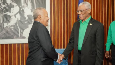 Commonwealth Observer Mission calls on President Granger