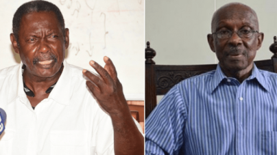 Lewis & Green “crossed the line” in shunning Constitution – FITUG