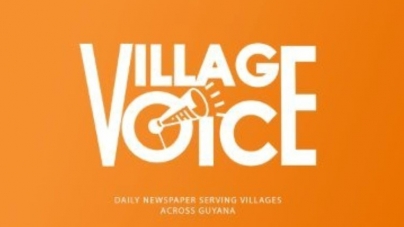 Village Voice newspaper at centre of legal battle over logo, website