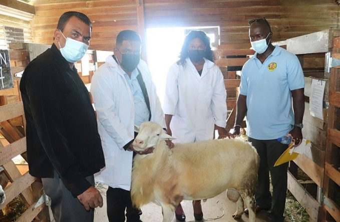 GLDA relaunches artificial insemination in small ruminants programme