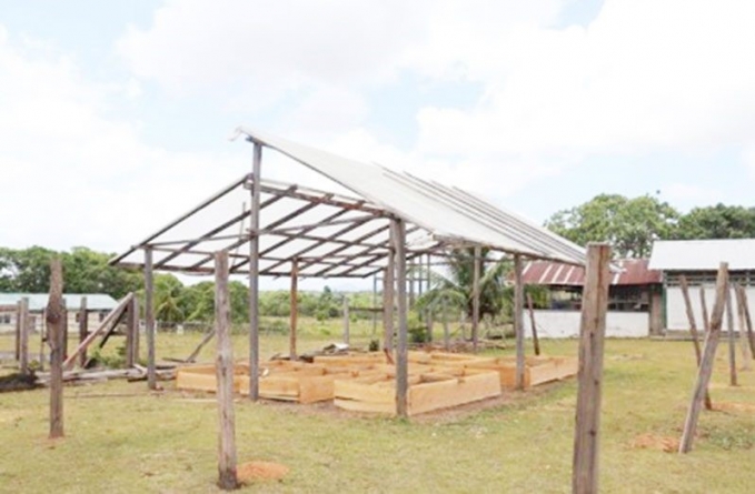 More farmers engaging in shadehouse cultivation